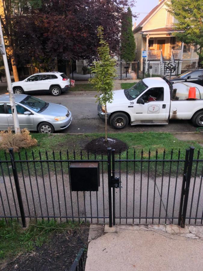 Logan Square Modern Apartment シカゴ エクステリア 写真